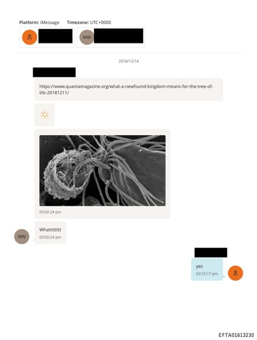 Preview of EFTA01613230