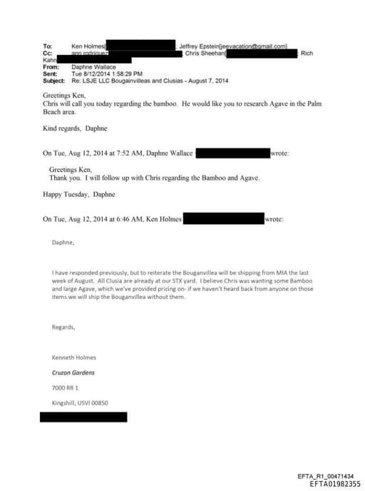 Preview of EFTA01982355