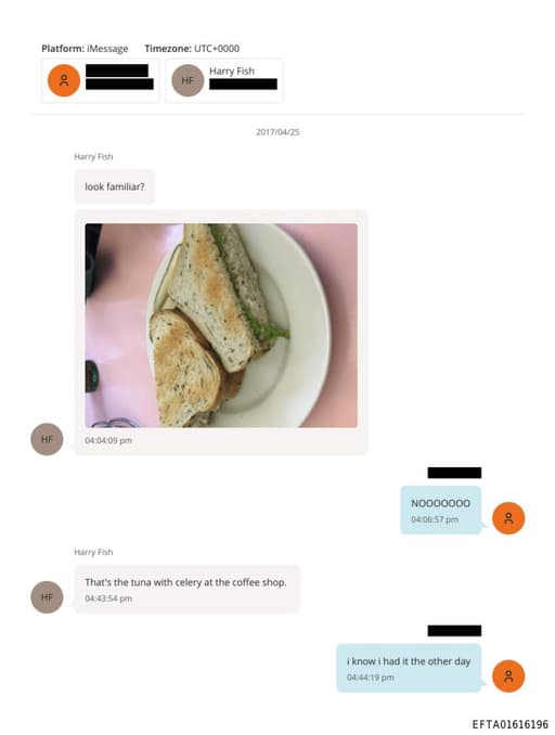 Preview of EFTA01616196