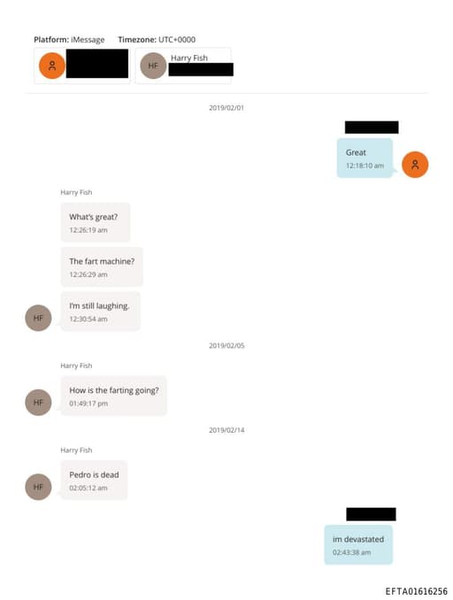 Preview of EFTA01616256