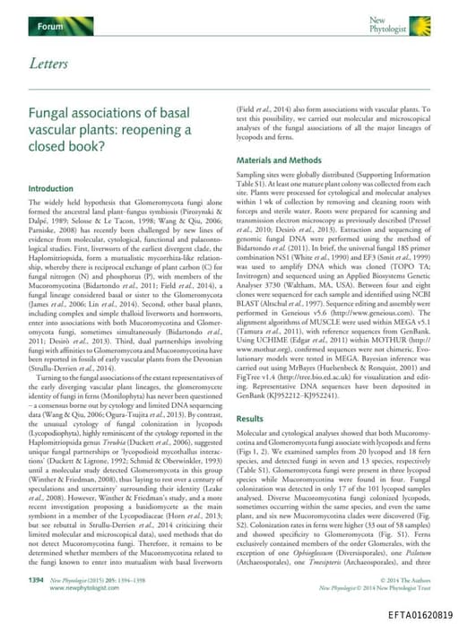 Preview of EFTA01620819