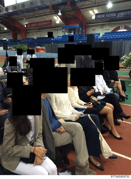 Preview of EFTA01624752