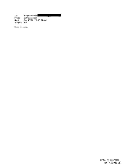 Preview of EFTA01983117