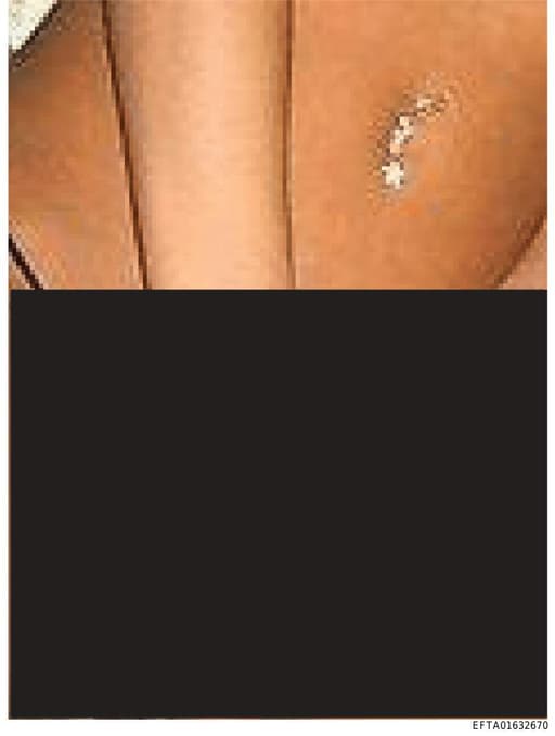 Preview of EFTA01632670