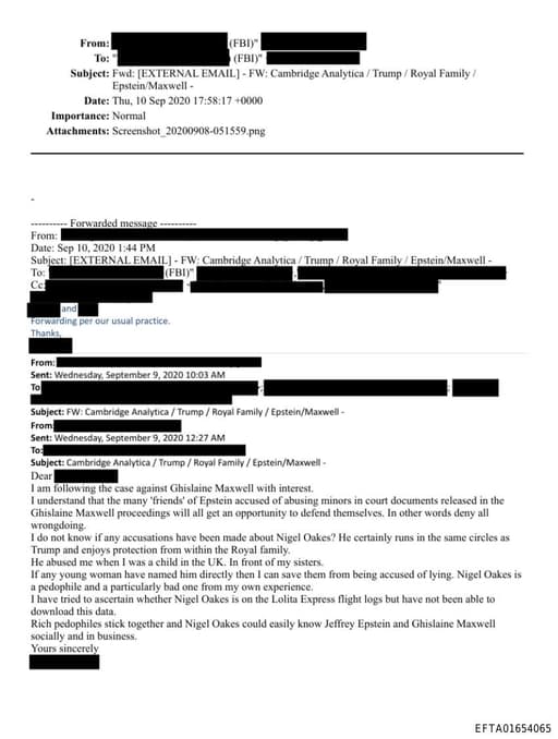 Preview of EFTA01654065