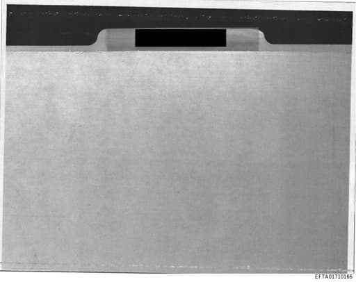 Preview of EFTA01710166