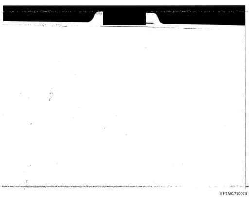 Preview of EFTA01710073