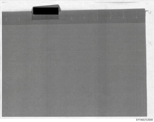 Preview of EFTA01713559