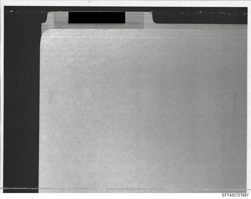 Preview of EFTA01727087