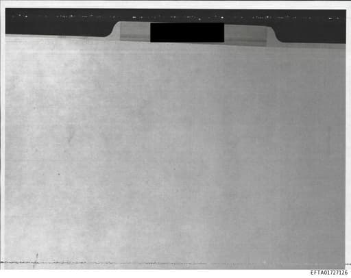 Preview of EFTA01727126