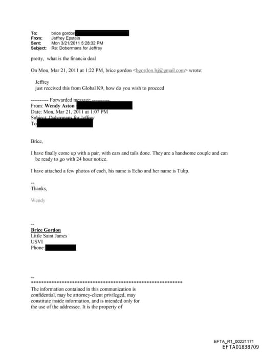 Preview of EFTA01838709