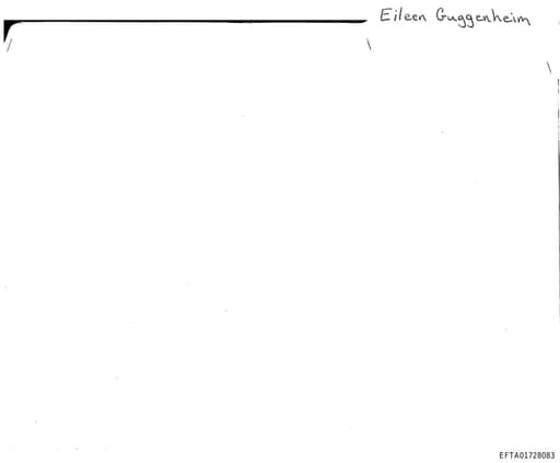 Preview of EFTA01728083