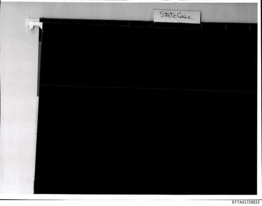 Preview of EFTA01728833