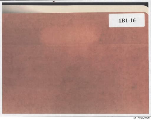 Preview of EFTA01729730