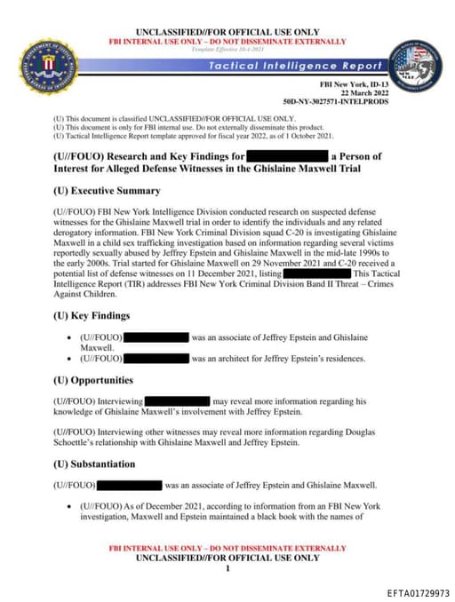 Preview of EFTA01729973