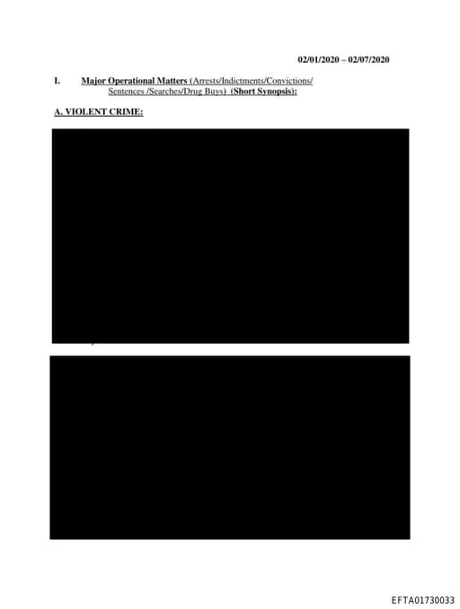 Preview of EFTA01730033