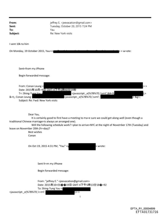 Preview of EFTA01731716