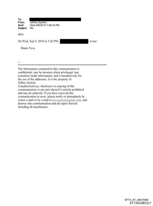 Preview of EFTA01985217