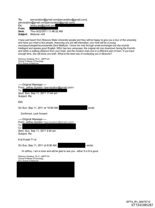 Preview of EFTA01985287