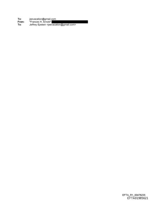 Preview of EFTA01985621