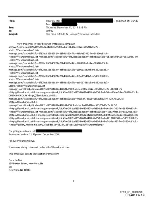 Preview of EFTA01732739