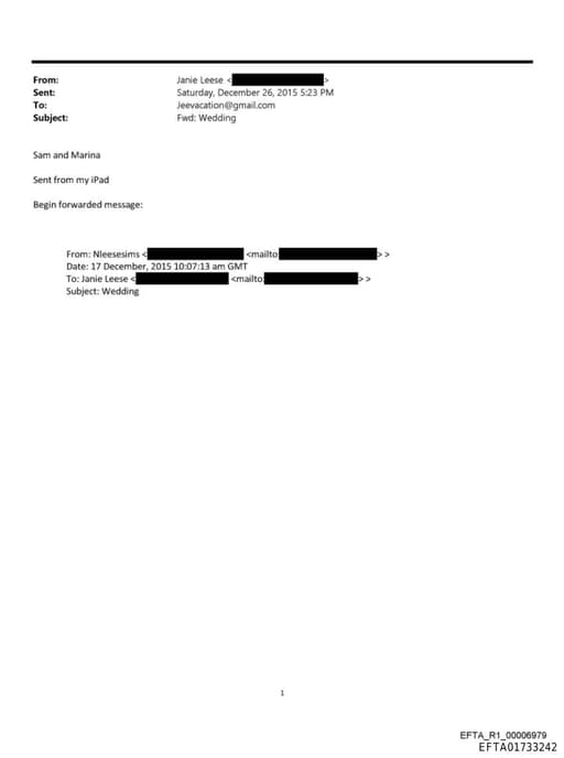 Preview of EFTA01733242