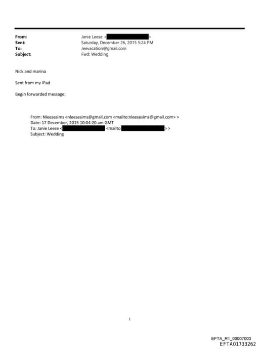 Preview of EFTA01733262