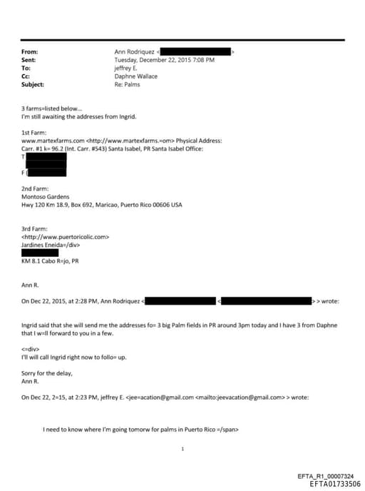 Preview of EFTA01733506