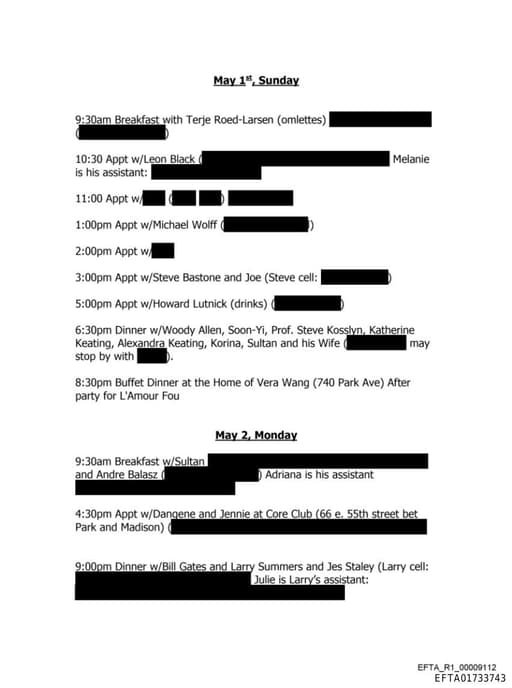 Preview of EFTA01733743