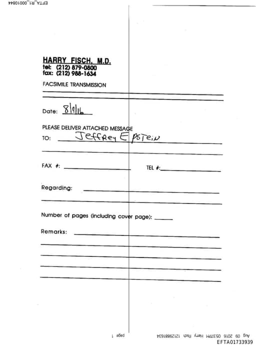 Preview of EFTA01733939