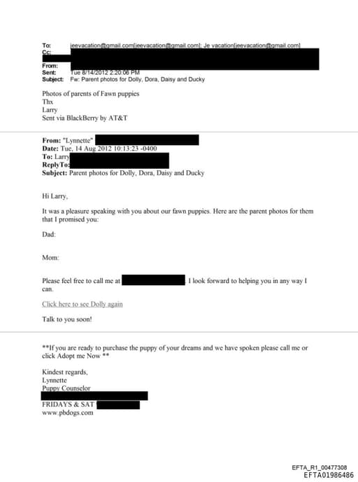 Preview of EFTA01986486