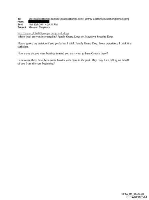 Preview of EFTA01986561