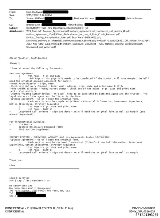 Preview of EFTA01393065