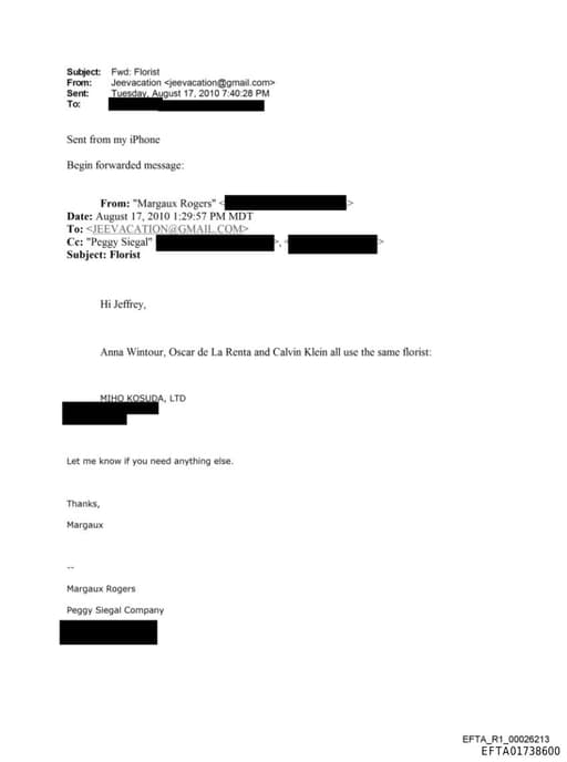 Preview of EFTA01738600