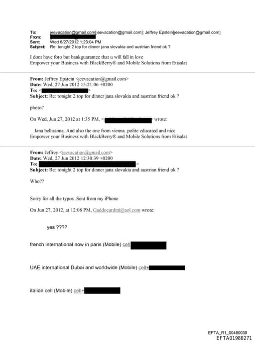 Preview of EFTA01988271