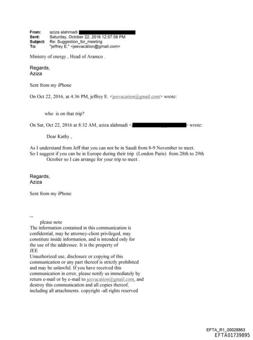 Preview of EFTA01739895