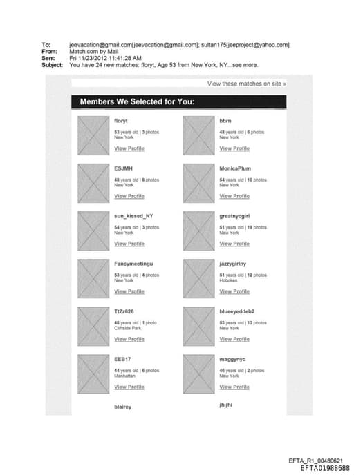 Preview of EFTA01988688