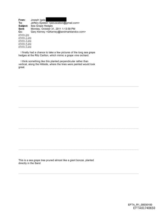 Preview of EFTA01740650