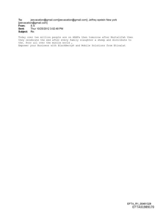 Preview of EFTA01989170