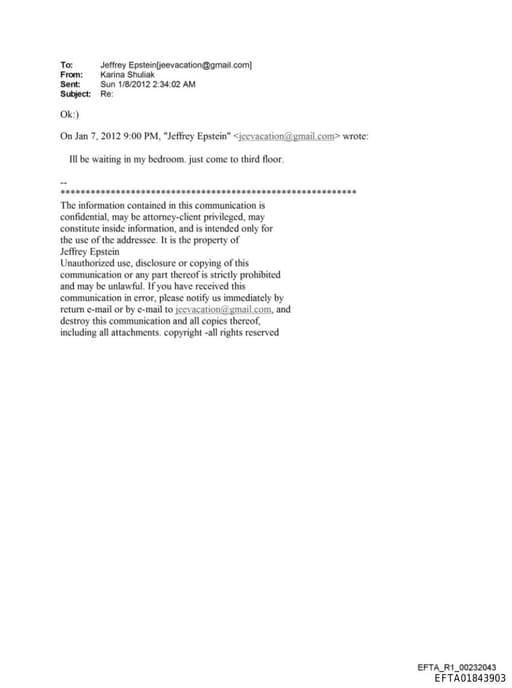 Preview of EFTA01843903