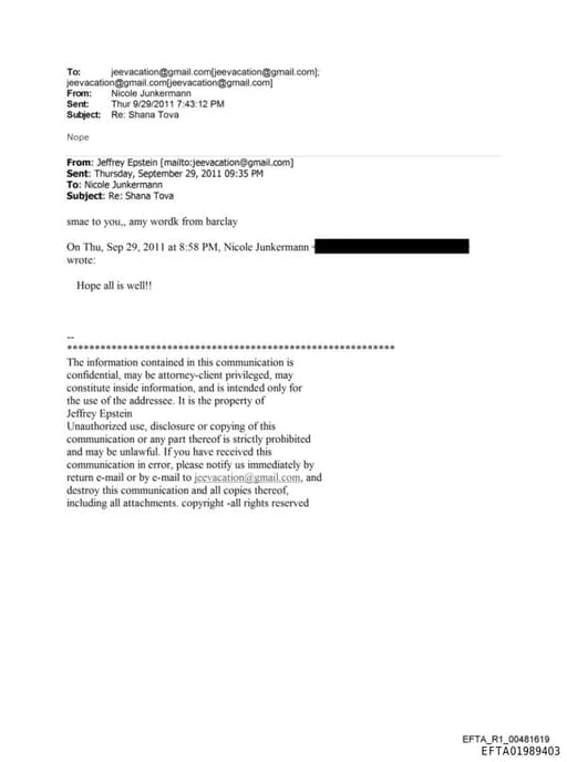 Preview of EFTA01989403