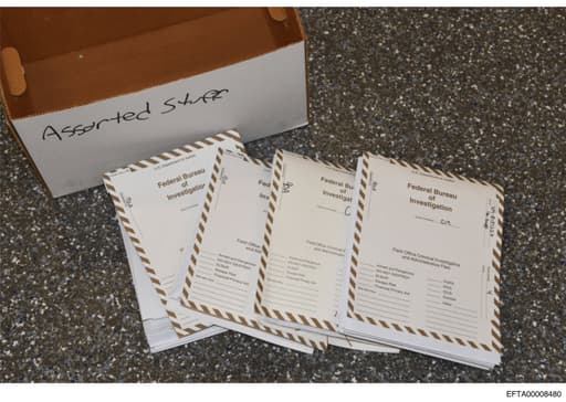 Preview of EFTA00008480