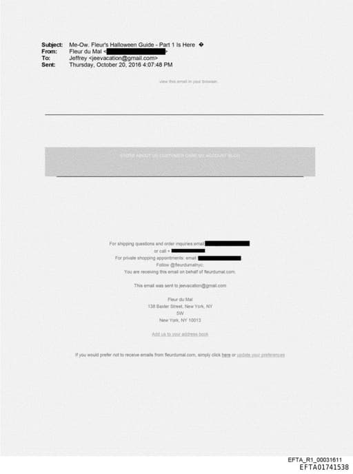 Preview of EFTA01741538