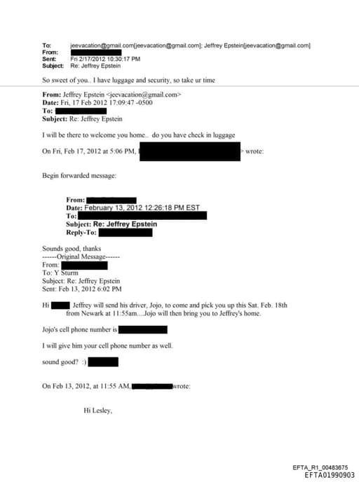 Preview of EFTA01990903