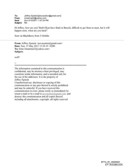 Preview of EFTA01863334