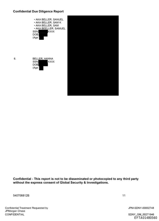 Preview of EFTA01480560