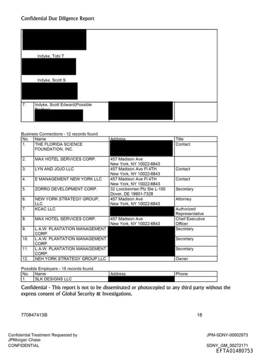 Preview of EFTA01480753