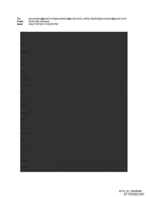 Preview of EFTA02022367