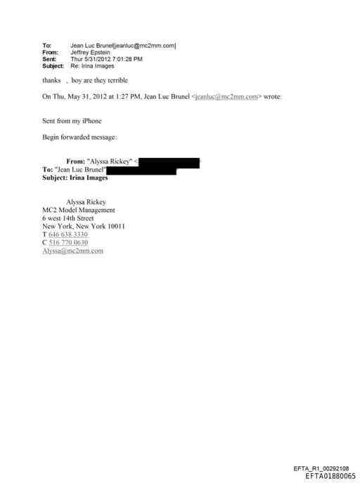 Preview of EFTA01880065