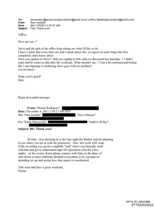 Preview of EFTA02029016